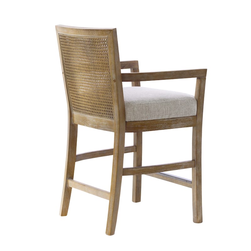 Madison Park Blaine Cream/Reclaimed Natural Cane Back Counter Stool - N/A