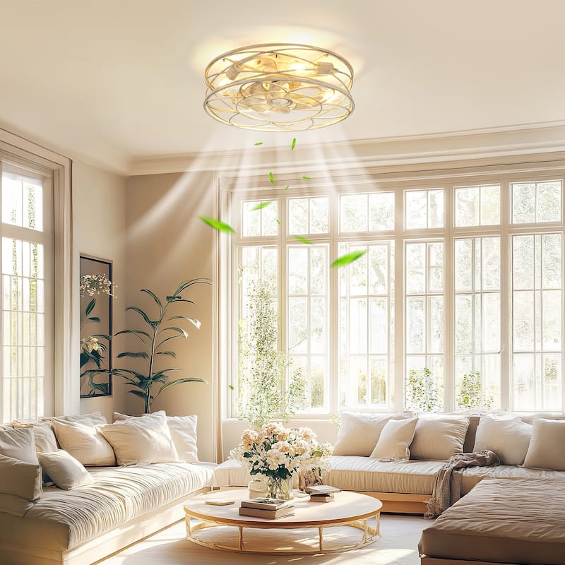 20" Farmhouse Reversible Caged Ceiling Fan - 20 Inches