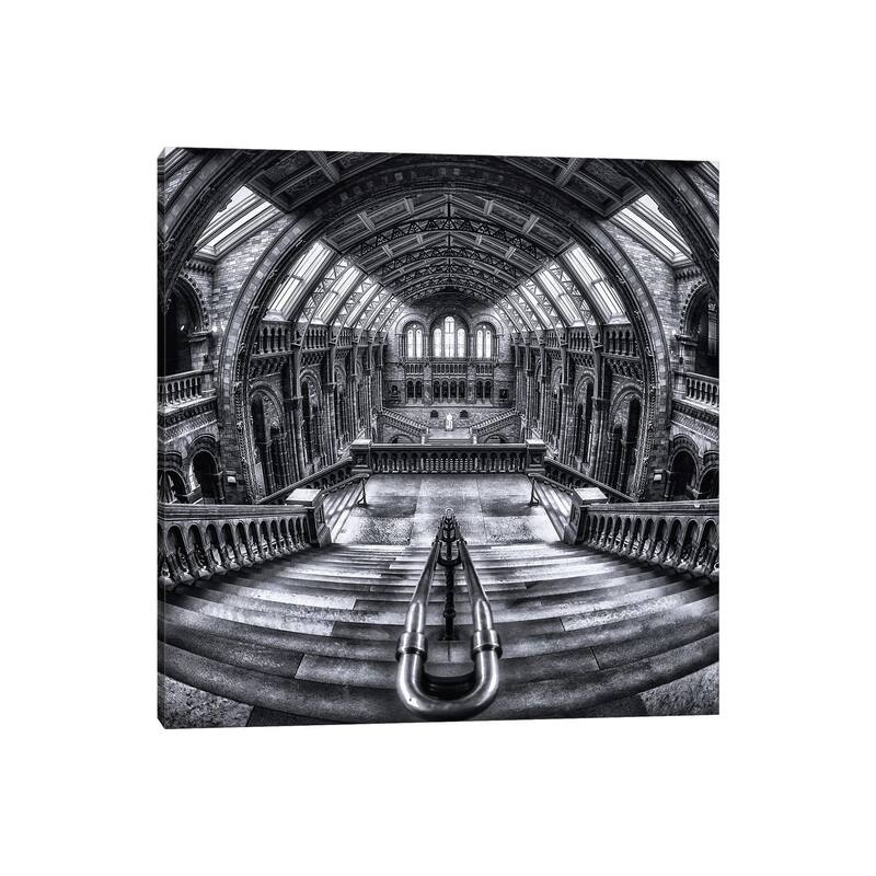 iCanvas "Harry Potter Meets Escher And Darwin" by Massimo Cuomo Canvas Print