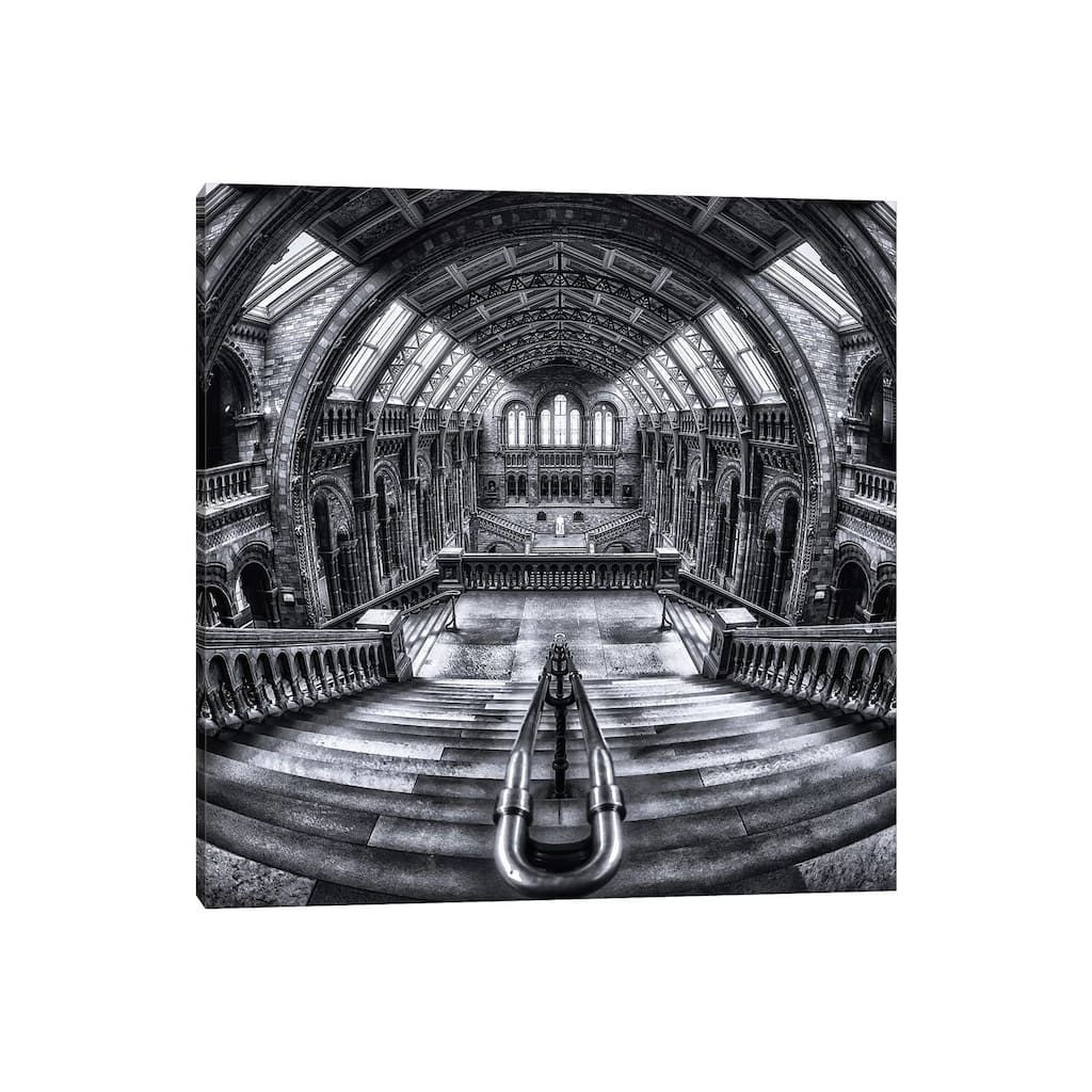 iCanvas "Harry Potter Meets Escher And Darwin" by Massimo Cuomo Canvas Print