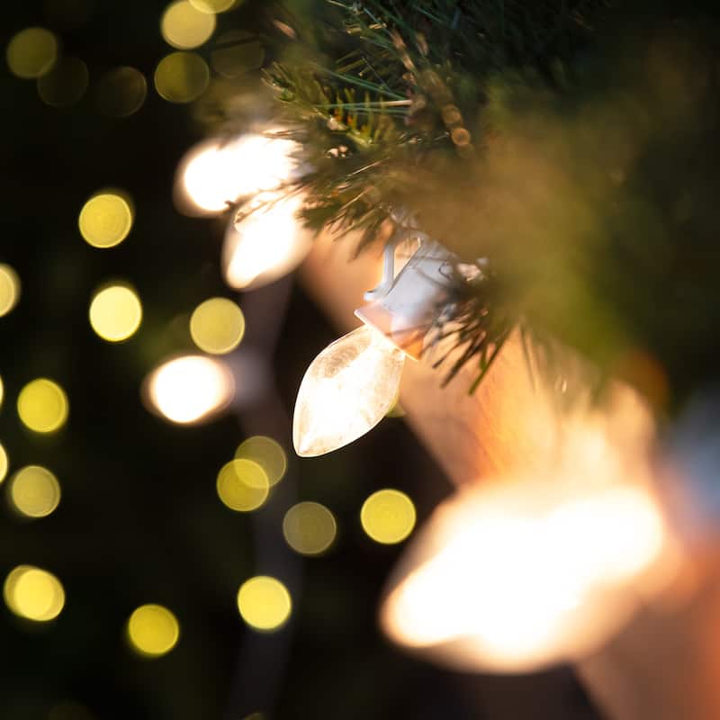 25 Count Clear C7 Christmas Lights 24ft White Wire - 24'
