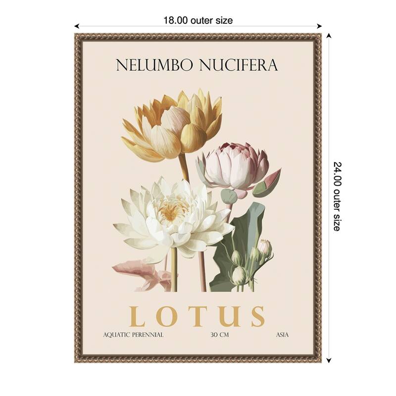 Vintage Botanical Lotus Illustration by Christopher Giampietro Framed Canvas Wall Art Print - Gold - 18 x 24 in