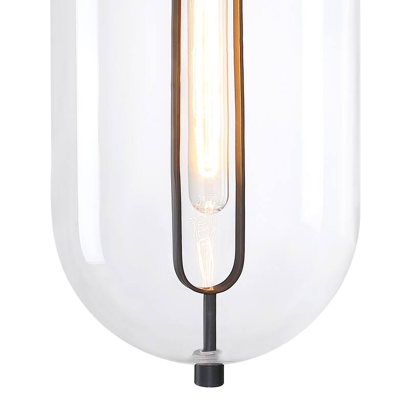 Skylar 60 Watt 1-Light Matte Black Down Pendant Light with Clear Glass Shade - 19.75