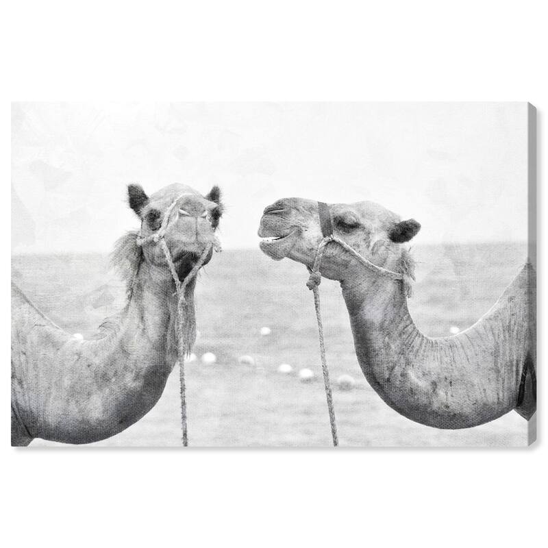 Wynwood Studio Canvas Animals Camel Best Friends Black and Moroccan Wall Art Canvas Print