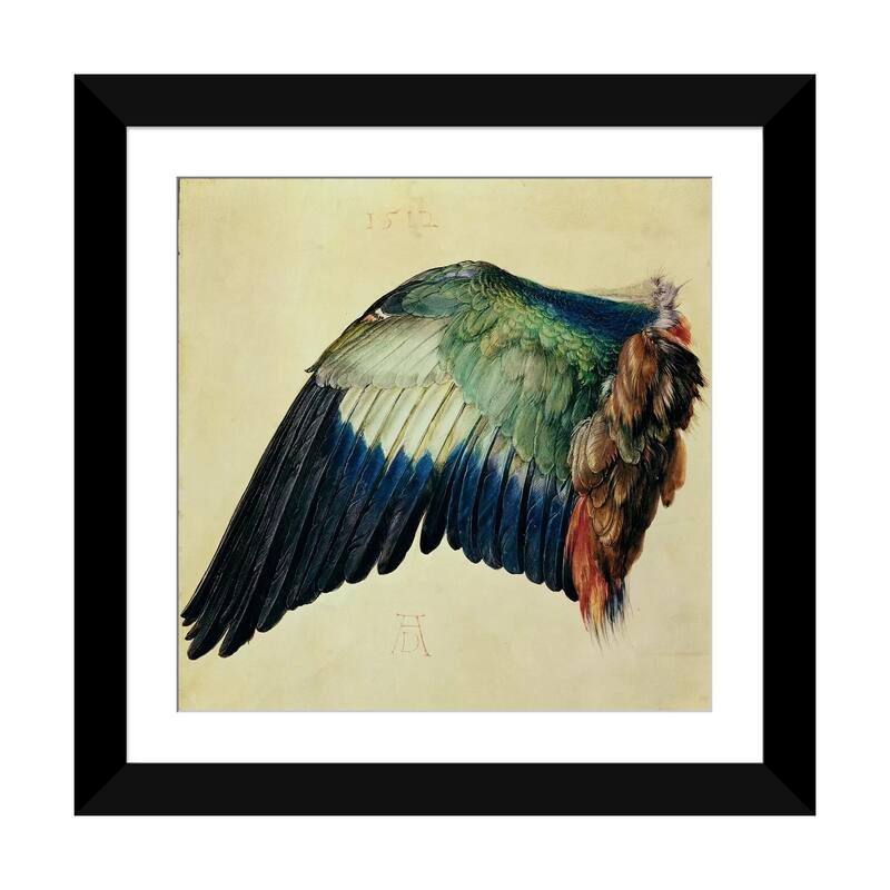 iCanvas "Wing Of A Blue Roller, 1512" by Albrecht Durer - Black - 24x24x1
