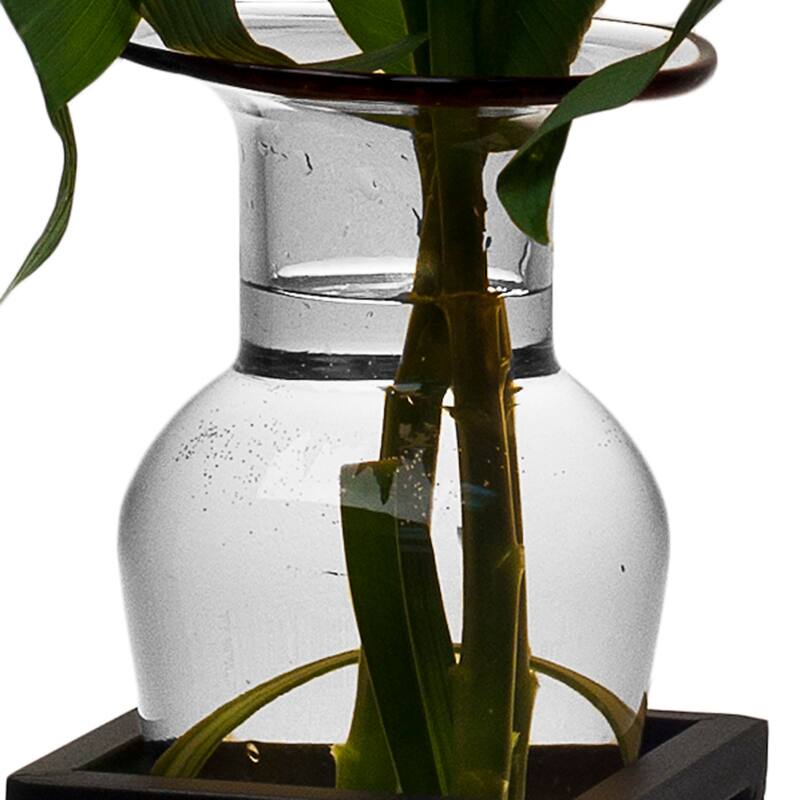 Amphora Vase with Iron Sconce