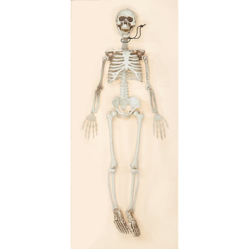 36" Posable Skeleton