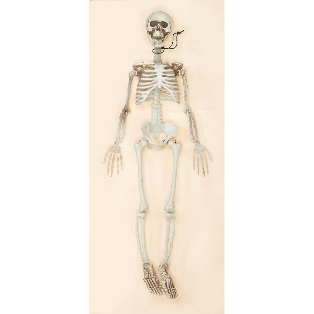 36" Posable Skeleton