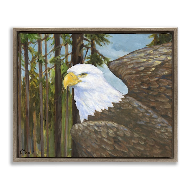 Stupell Woodland Eagle's View Framed Floater Canvas Wall Art Design By Paul Brent - 31 x 25 - Brown
