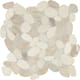 Option Seashell
