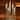 Root Unscented 5 In. Timberline™ Collenette Taper Candles box of 8 - 5 X 1-1/4