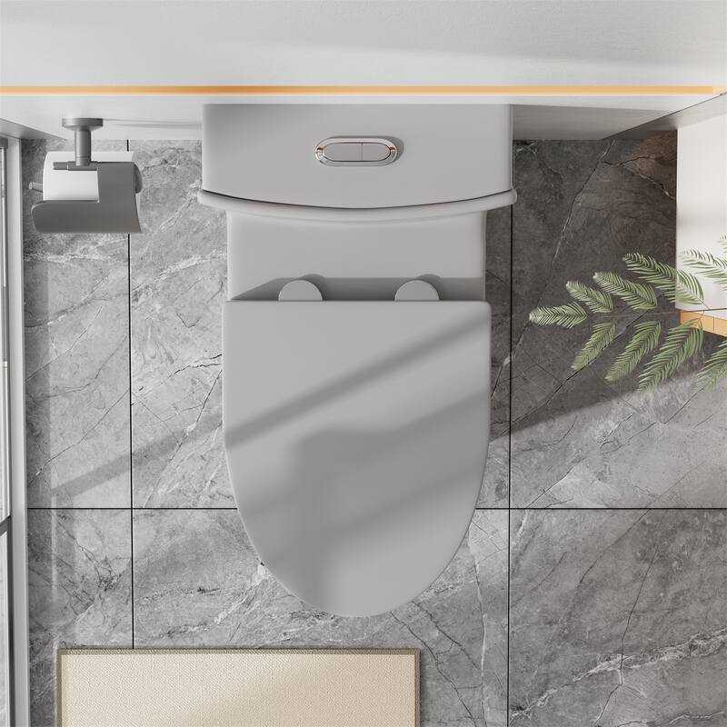 Matte Grey Elongated One Piece Toilet