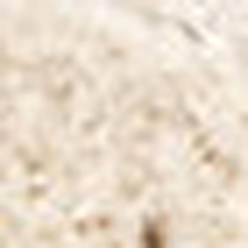 HomeRoots Abstract Modern Rectangle Area Rug