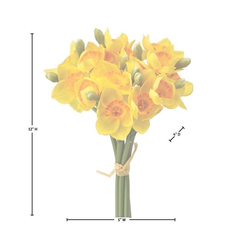12" Narcissus Bundle