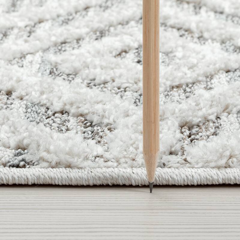 Monique Moroccan Diamond Indoor Area Rug