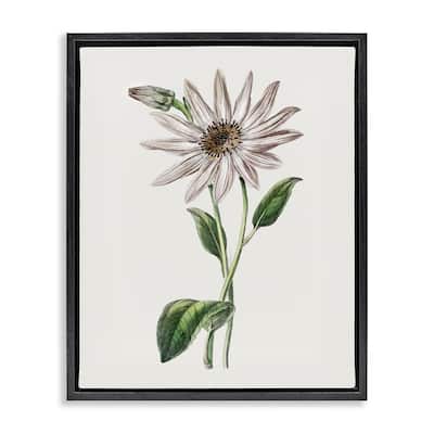 Stupell Vintage Mum Sprig Framed Floater Canvas Wall Art Design By CAD Designs