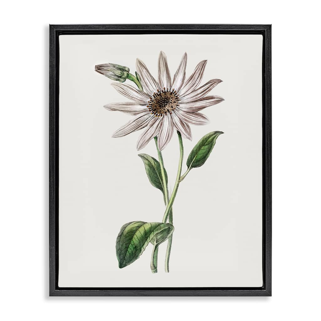 Stupell Vintage Mum Sprig Framed Floater Canvas Wall Art Design By CAD Designs