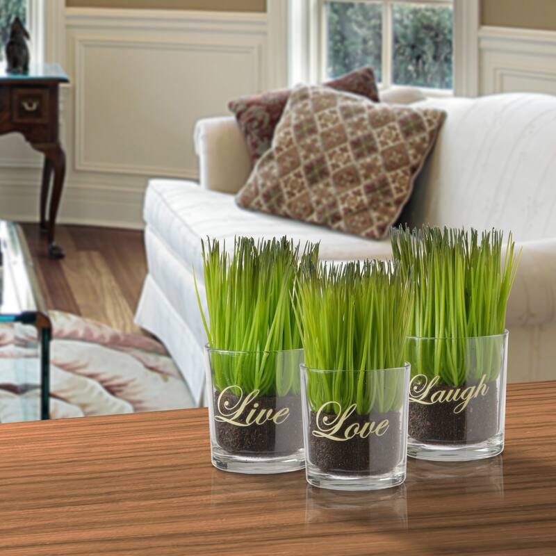 National Tree Company Copper Grove Machmell Printed 'Live, Laugh, Love' Glass Pots with Artificial Grass (Set of 3) - Green