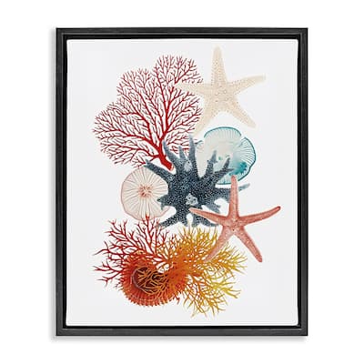 Stupell Coral & Undersea Creatures Framed Floater Canvas Wall Art Design By Ramona Murdock