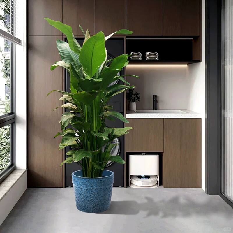 Anmytek Handmade Ceramic Planter Set Blue Textured for Succulents Indoor Garden