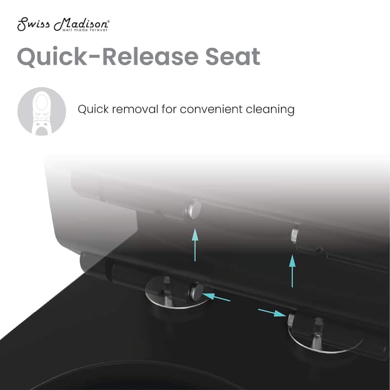 Charme One Piece Square Toilet Dual Flush 1.1/1.6 Gpf With 10" Rough-In, Matte Black - 25.8" x 14.95" 29.95"