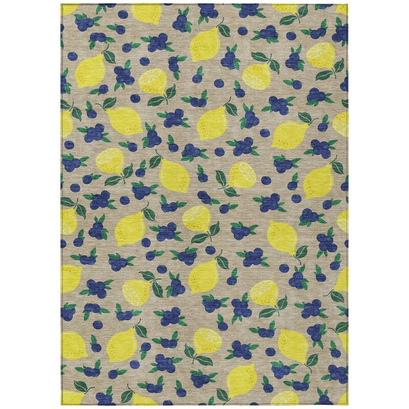 Machine Washable Indoor/ Outdoor Citrus Berry Chantille Rug