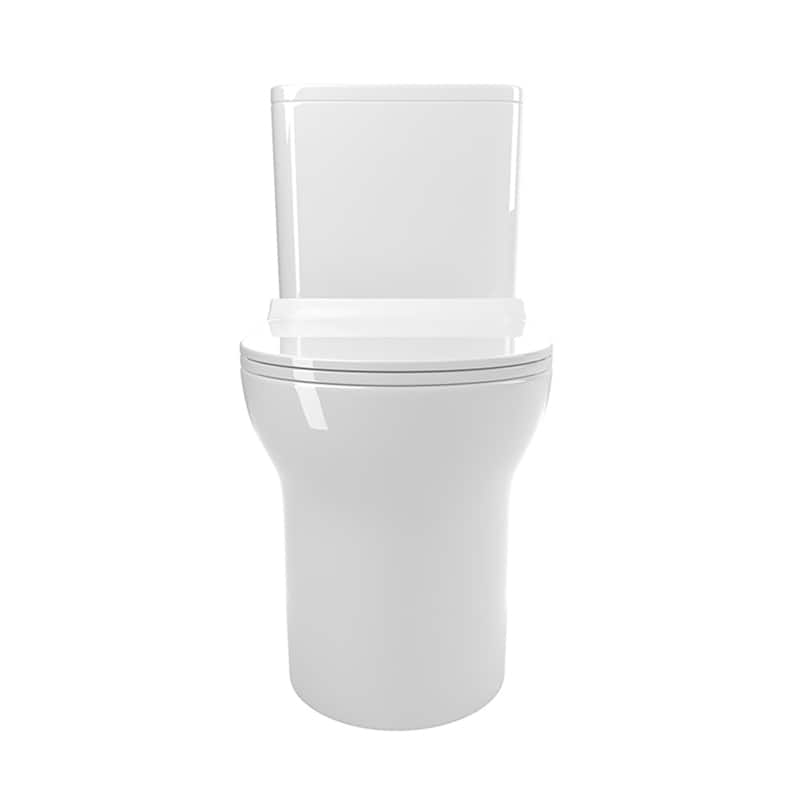 Dual Flush Elongated One-Piece Toilet