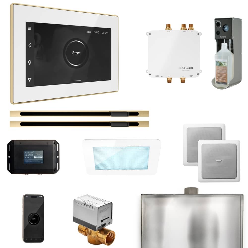 Mr Steam BLS1-XL Bliss Max Linear Package Steam Shower Control Package