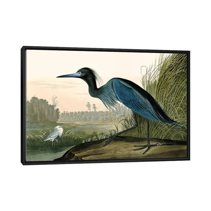 iCanvas "Blue Crane" by Piddix Framed Canvas Print - Black - 32x48