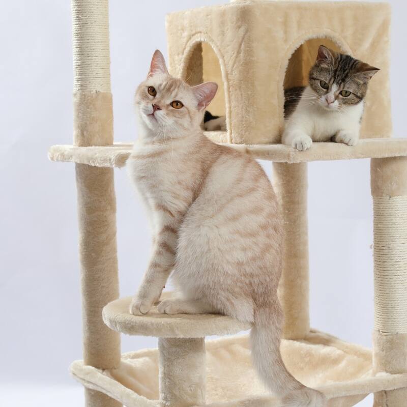 lush Sisal Scratcher with 2 Door Condo House Cat Tree - 21.65"L x 17.71"W x 56.3"H