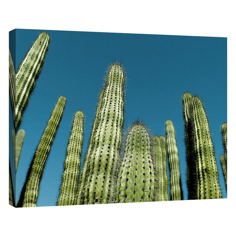 Cactus with Blue Sky by Belle Maison Canvas Art Print