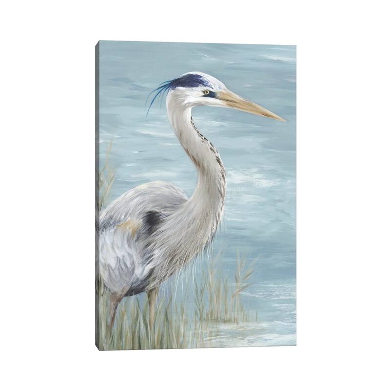iCanvas "Great Blue Heron Gaze" by Eva Watts Canvas Print