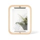 preview thumbnail 11 of 15, Bellwood Desk Frame 5x7 Natural
