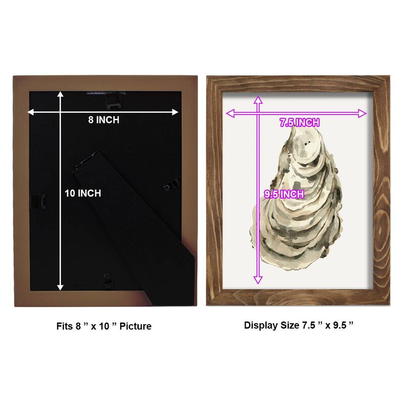 Neutral Oyster Study I -Framed Print w/glass-Cherry Red