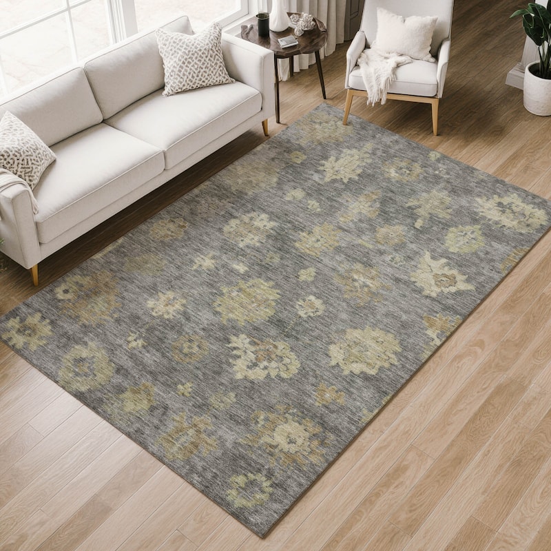 Machine Washable Indoor/ Outdoor Casual Traditional Chantille Rug