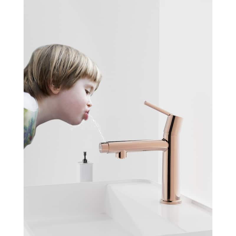 Modern Single Handle Bathroom Sink Faucet with Removable Aerator, Anti Fingerprint, Splash Proof, Anti Corrosion and Anti Rust