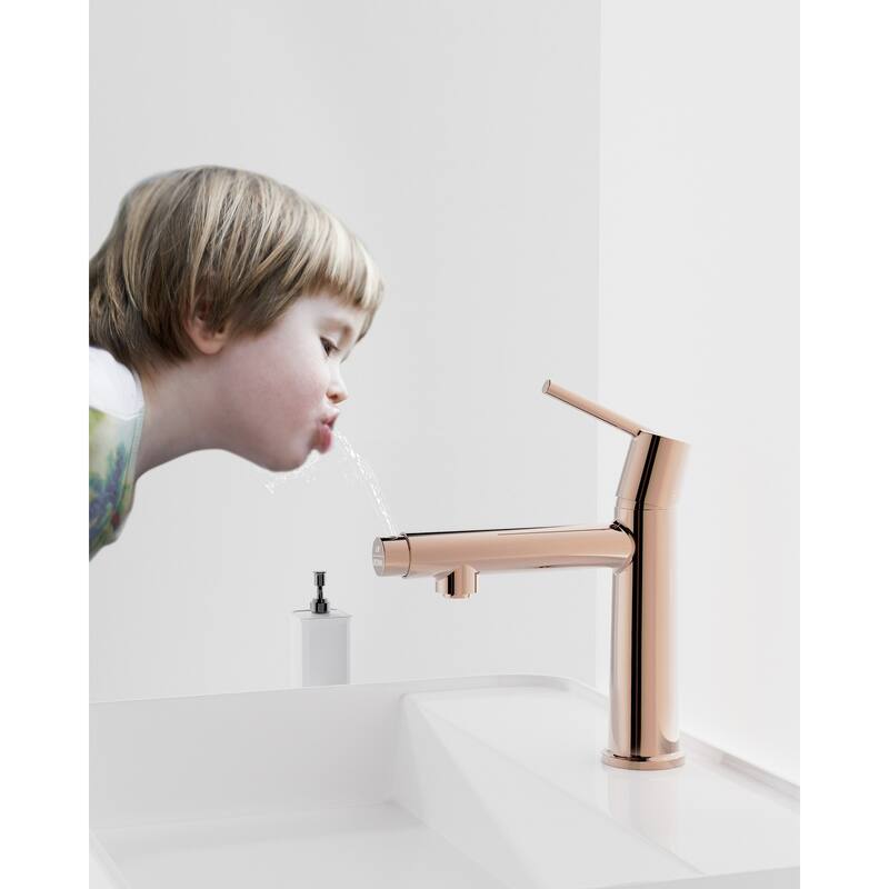Single Handle Bathroom Faucet with Deck For 1 or 3 Holes,Laundry Vanity Sink Faucet with Two 9/16" Hoses