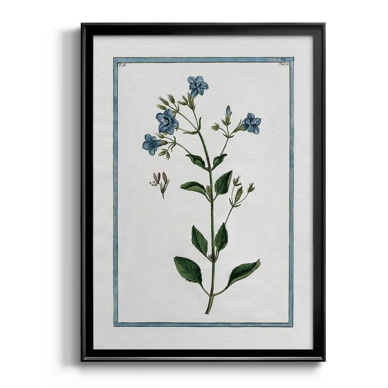 Shabby Chic Botanical II Premium Framed Print - Ready to Hang