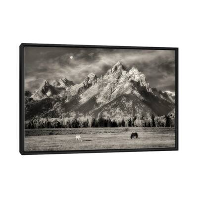 iCanvas "Teton Horses In Pasture" by Dennis Frates Framed