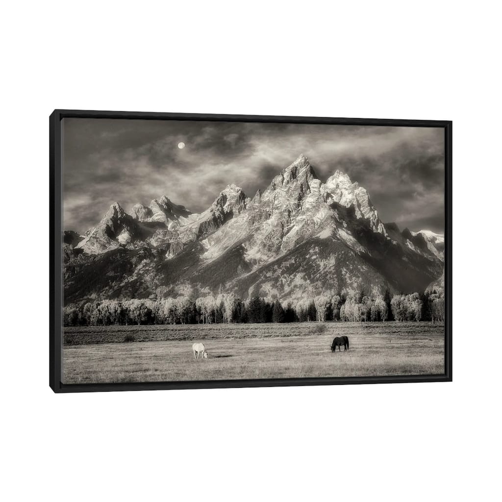 iCanvas "Teton Horses In Pasture" by Dennis Frates Framed