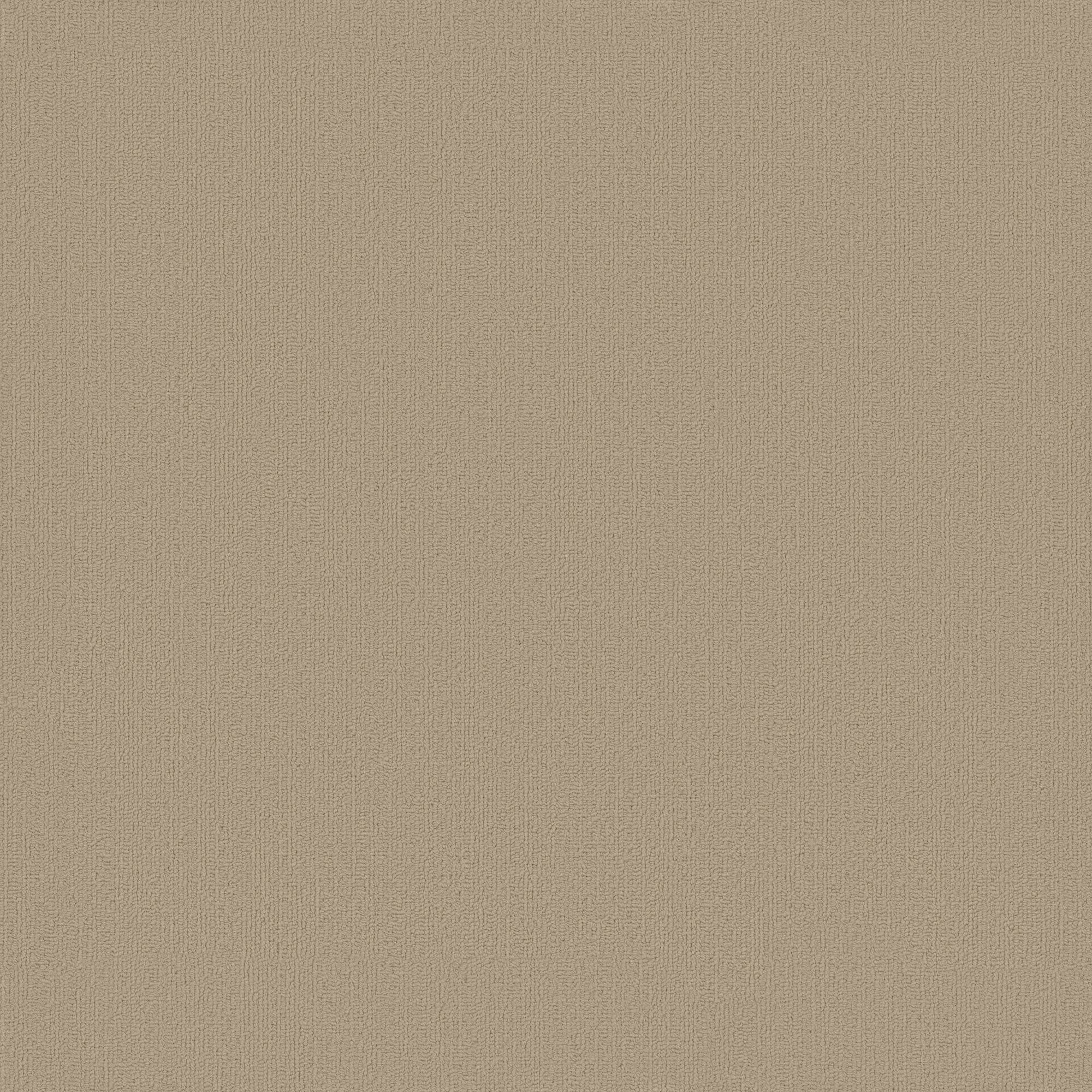 Shaw Philadelphia Commercial Color Accents TL 24" x 24" Glue Down