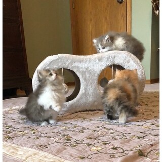 Top Product Reviews For Trixie Liana Fleece Lined Scratcher Cat
