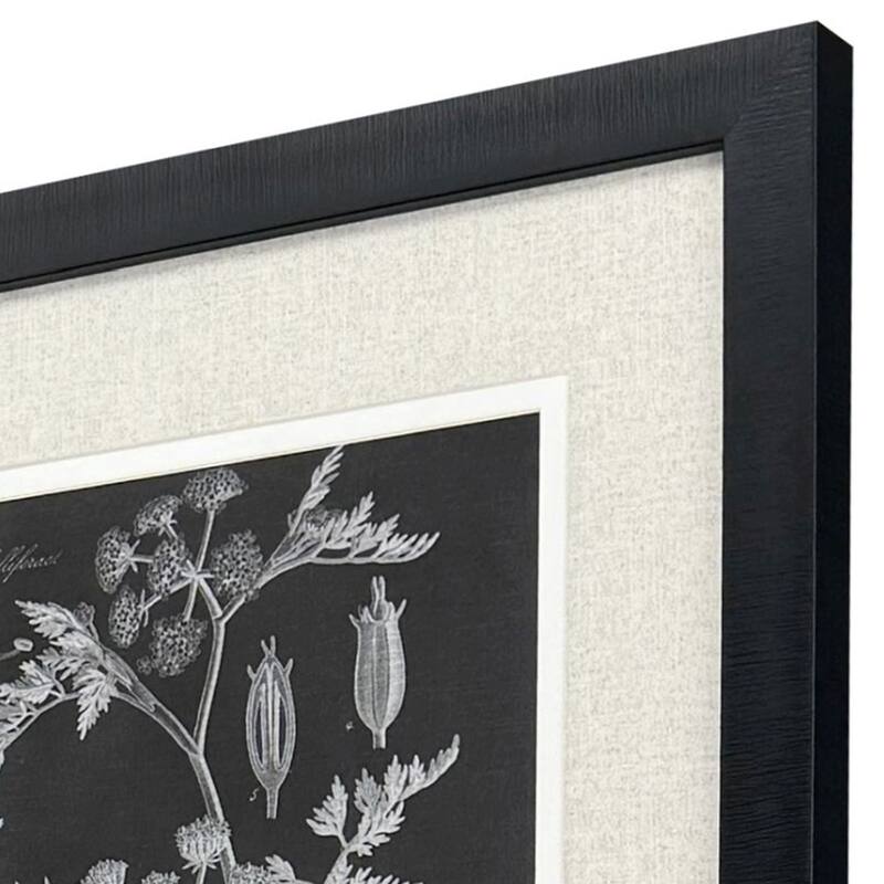 Paragon Mono Botanicals I Framed Art - Set of 2