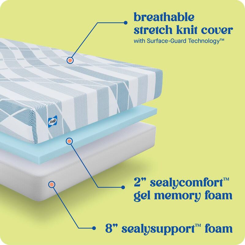 Sealy Dreamlife 10" Foam Mattress-in-a-Box