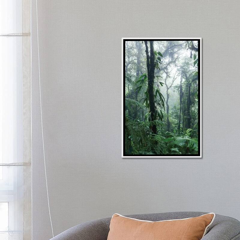 iCanvas "Monteverde Cloud Forest, Costa Rica" by Matteo Colombo Framed Canvas Print