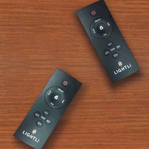 10 Feature Remote Control - 1.5" x 4.0" by LightLi