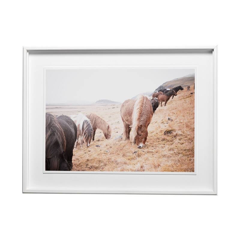 Horses of Hofn II Framed Art Print