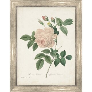 Pierre-Joseph Redoute 'Vintage Redoute Roses II' Framed Art - Bed