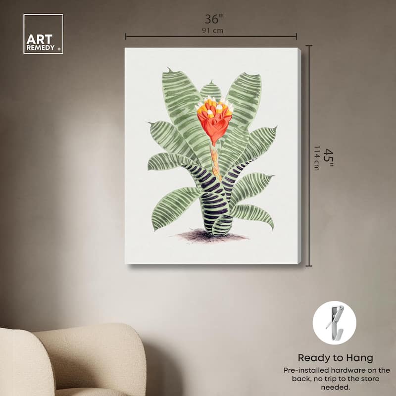 Tillandsia Musaica Plant Canvas by Art Remedy, Gallery Wrapped
