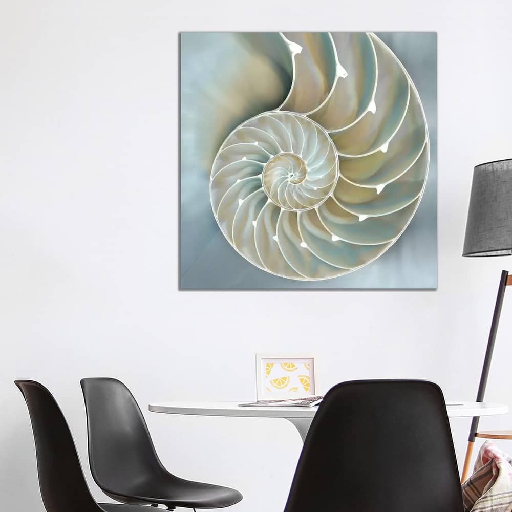 iCanvas "Nautilus In Blue II" by Caroline Kelly Canvas Print